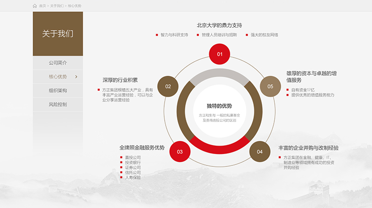 品牌网站建设