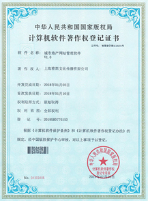软件开发 软件系统开发